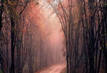 博天堂：图多尔接手尤文，尤文上一任非意大利籍正式主帅为德尚.