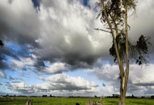 博天堂：[网球]第十五届全运会网球项目资格赛在杭州展开.