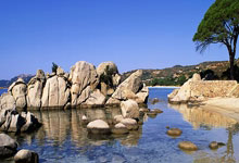 完全就是大乱炖,退役不退技!还有一个“三无”运动员?.